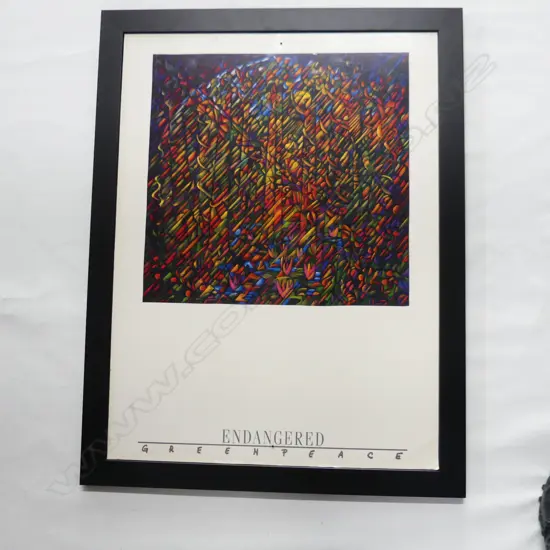 DEAN BUCHANNAN FRAMED ENDANGERED GREENPEACE POSTER 810 X 580 MM SOME DAMAGE