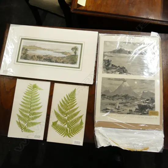 4 EARLY ENGRAVINGS; 2 FERNS + COROMANDEL HARBOUR 1847 105x270mm, 'THE GRAPHIC' LAKE TAUPO & MT. TONGARIRO 1884
