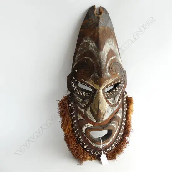 PNG FACE MASK L540MM