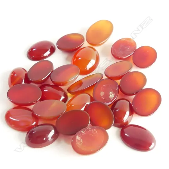 BAG MIXED SHAPED CARNELIAN