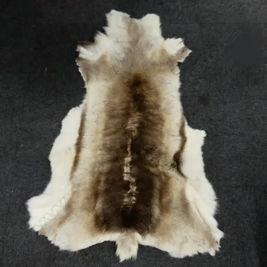 REINDEER HIDE 
