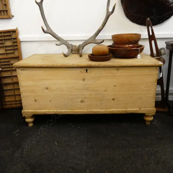 LG ANTIQUE STRIPPED PINE TRUNK 1175x540x575mm