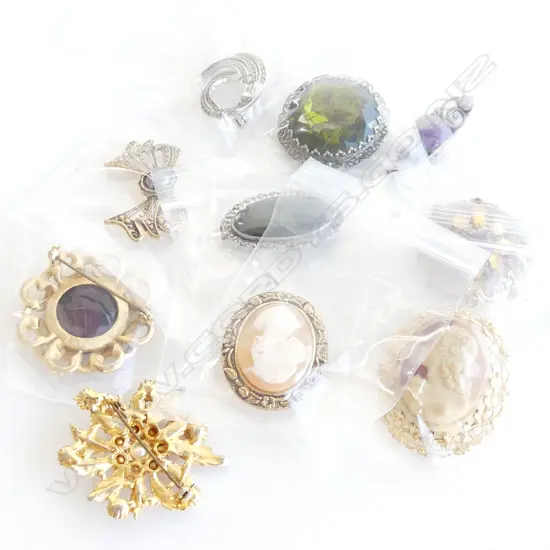 10 COSTUME JEWELLERY BROOCHES 