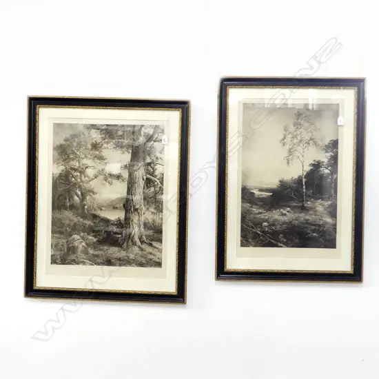 2 J. MACWHIRTER LG B/W LITHOGRAPHIC PRINTS; 'OLD SCOTCH FIRS' & 'THE BIRCH' 680x520mm 