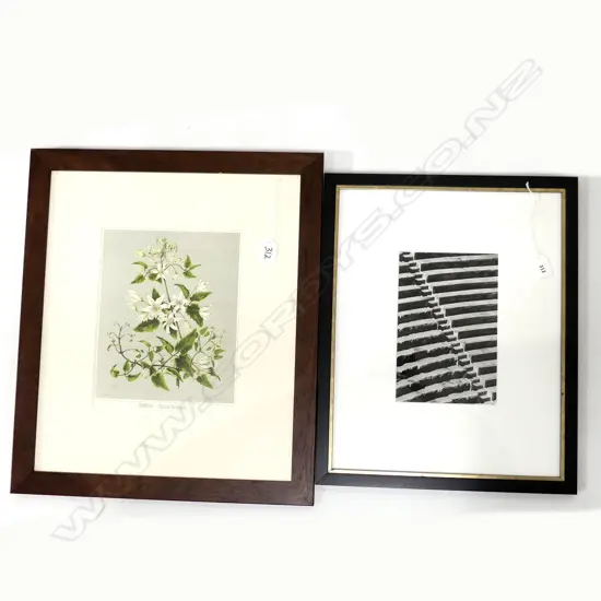 2 ARTWORKS; CLEMATIS PRINT 280x220mm (SCRATCHED) + B/W PHOTOGRAPH, STEPS 220x145mm