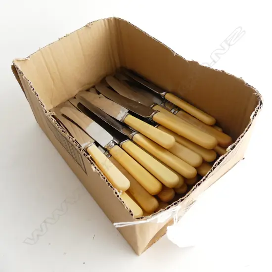 LOT ASST IVORINE HANDLED KNIFES