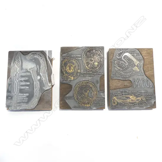  THREE BIOLOGICAL PRINTING BLOCKS 175x130mm