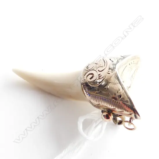 9CT SHARK TOOTH PENDANT BROOCH L.35mm 4.9 GRAMS 