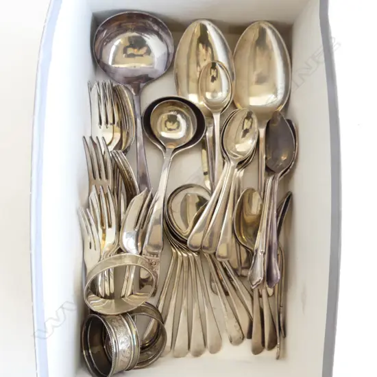 ASST CUTLERY + 3 STG NAPKIN RINGS 38 GRAMS