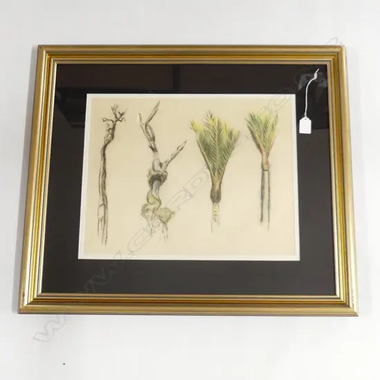 JOHN WEEKS - FRAMED COLOUR STUDIES - NIKAU PALMS ETC  335 X 430MM