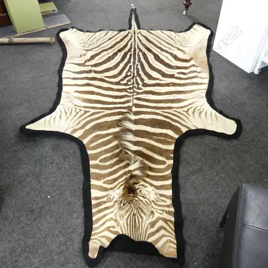 LG ZEBRA RUG 3200x1650mm