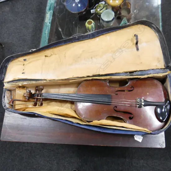 CASED VIOLA - FAULTED