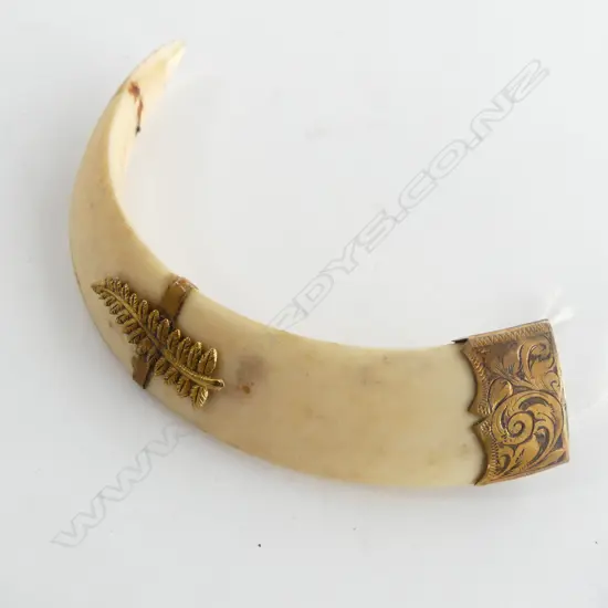 ANTIQUE 9CT TUSK BROOCH (MISSING CAP) W.100mm