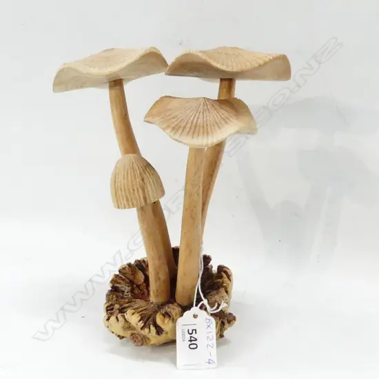 DACTYLANTHUS (WOOD ROSE) w. 4 CARVED WOODEN MUSHROOMS H.190mm