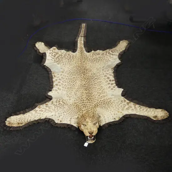 ANTIQUE LEOPARD RUG 1400x2100mm