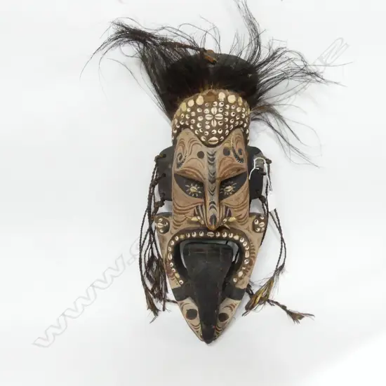 PNG FACE MASK H520MM