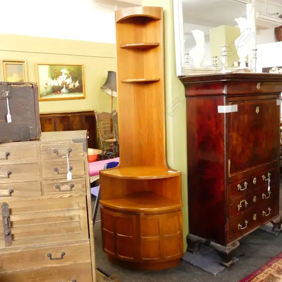 1960S TALL MAHOGANY CORNER CABINET H1900MM