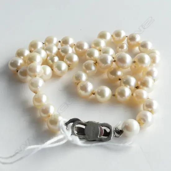 STRING OF CULTURED PEARLS  SILVER CLASP