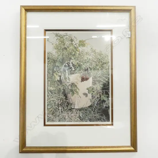 RAYMOND CHING PHOTOLITHO SIGNED PRINT &#x27; SUMMER AFTERNOON &#x27; 29/850. H.500 W. 360mm