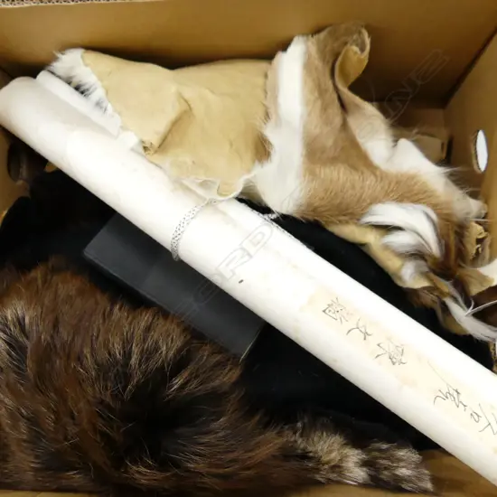 BOX LOT FURS DEERSKIN AND CHINESE SCROLL OF TIGER L.1740mm