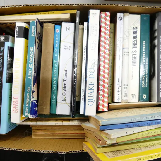 BOX LOT ASST BOOKS; NOVELS ETC