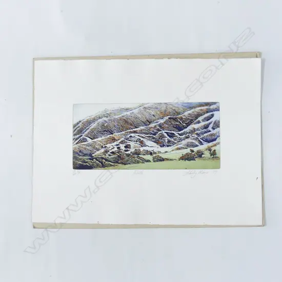 STANLEY PALMER BAMBOO ETCHING 'COLVILLE' SIGNED & DATED '77 19/60 150x335mm UNFRAMED