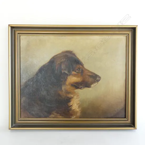 C1900 OIL PAINTING PORTRAIT OF A DOG 350 x 450mm. Entitled 'Pompey Collie'