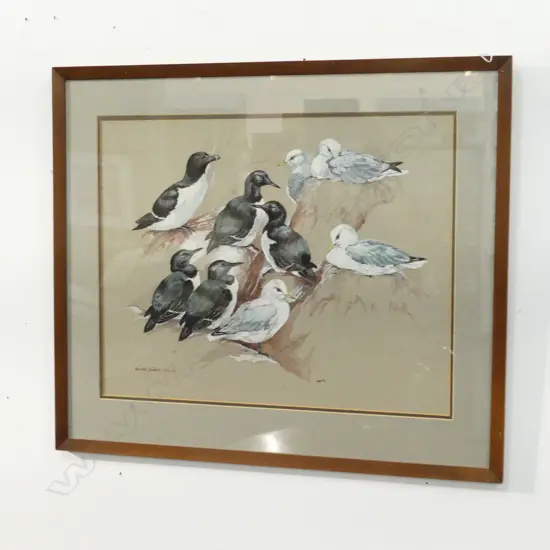   ACRYLIC ON BOARD ‘RAZORBILL GUILLEMONT” BY JARVIS  760X650MM