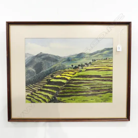 V. TUDEHOPE, HILLSIDE RICE PADDIES, W/C 1975 355x480mm 