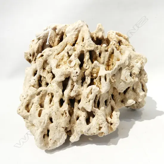 CORAL SPECIMEN 2.4KG W.250mm