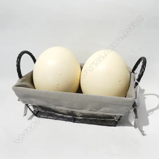 WIRE BASKET WITH 2 OSTRICH EGGS