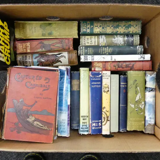 BOX LOT ASST. VINTAGE NOVELS ETC