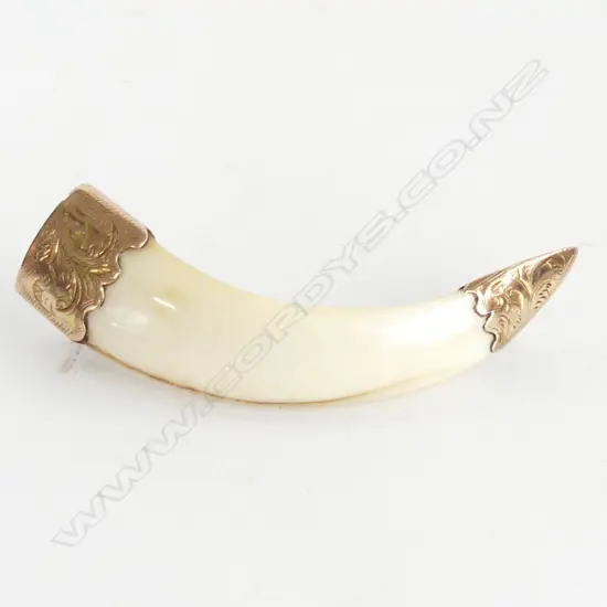  LARGE GOLD MOUNTED TUSK BROOCH7.5CM.