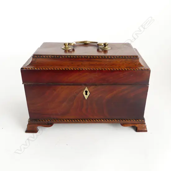REGENCY PERIOD TEA CADDY, WITH TWO-TONE STRINGING, ON BRACKET FEET, BRASS SWING HANDLE, 235 x 170mm