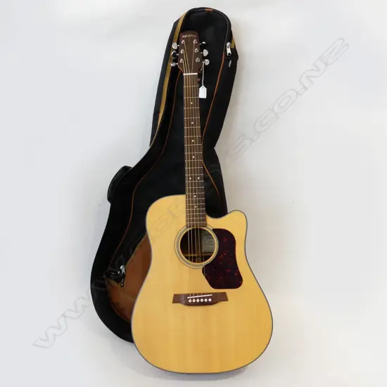 ALDEN SEMI-ACOUSTIC GUITAR + CASE ETC