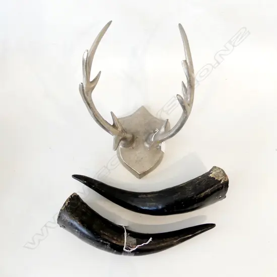 ALUMINUM FAUX ANTLER WALL MOUNT. H.270mm & TWO OX HORNS L.320mm