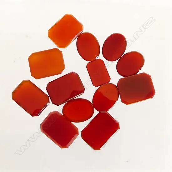 BAG MIXED CARNELIAN DISCS 