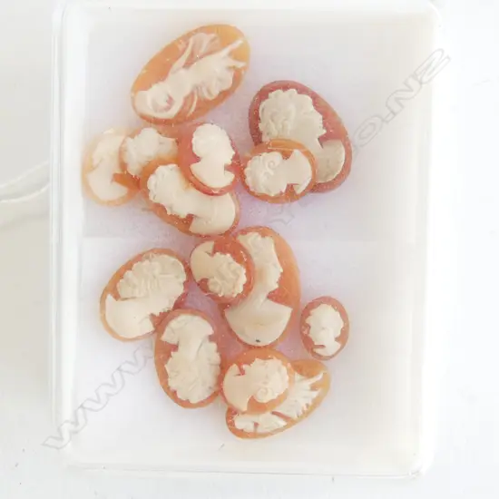 BOX VINTAGE CARVED SHELL CAMEOS 