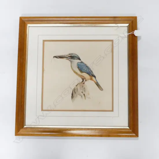 KINGFISHER SIGNED DRAWING 280x280mm