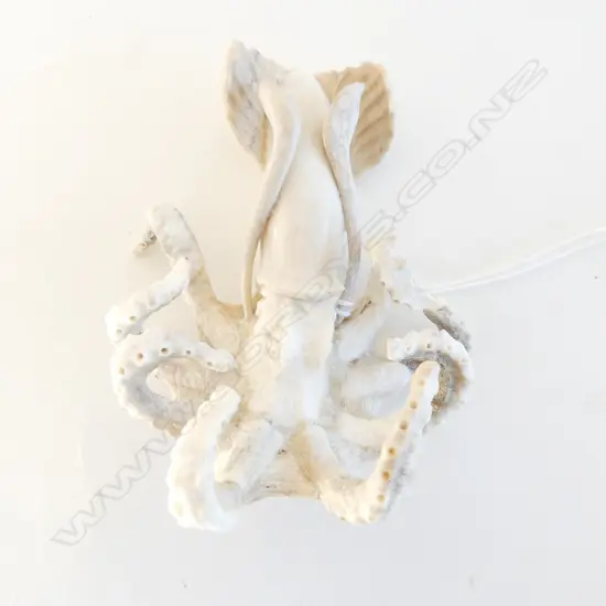 SECTIONAL CARVED WHALEBONE SQUID ORNAMENT fine detail. L.100mm.