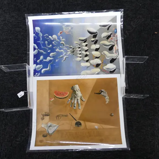 2 LAMINATED SALVIDOR DALI PRINTS