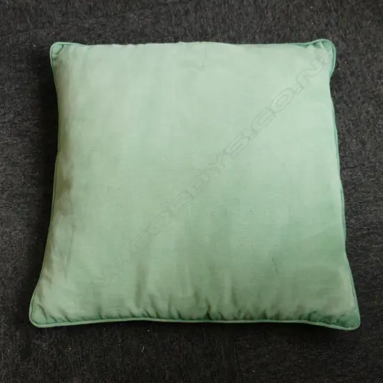 LG GREEN CUSHION - WITH LOT BX778-1
