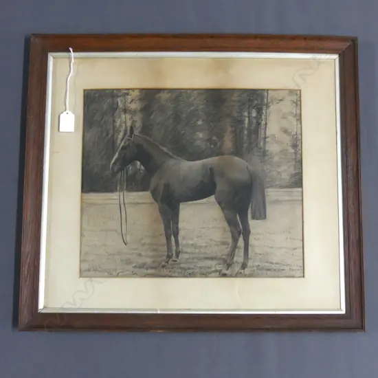 ARTIST UNKNOWN, GROOMED HORSE, PENCIL SKETCH 320x370mm