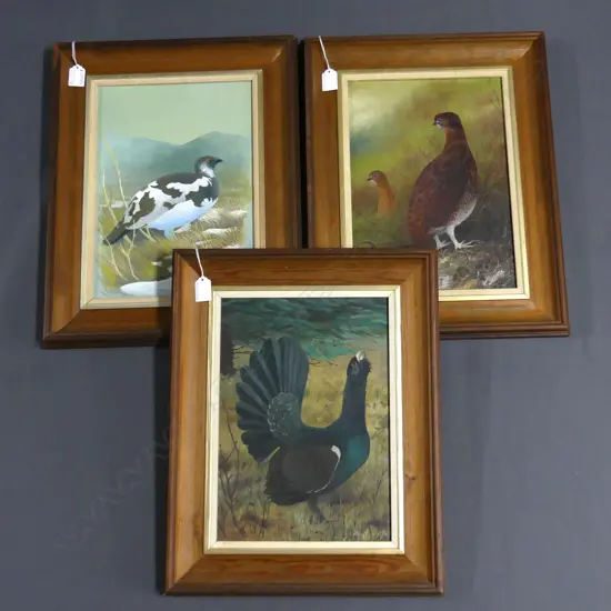 MARTIN WOODCOCK (UK 1935-2019) BIRD OILS 340x240mm