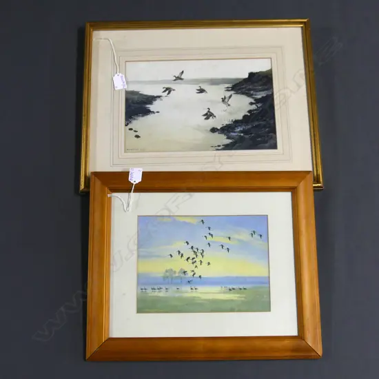 2 BIRDS FLYING W/Cs; BERRISFORD HILL (UK 1930-) 200x300 & PETER SCOTT 180x245mm