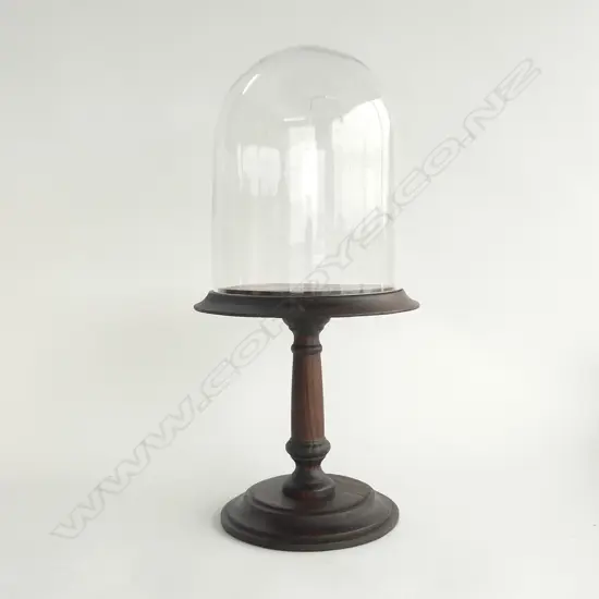 GLASS DOME ON STAND H.510mm
