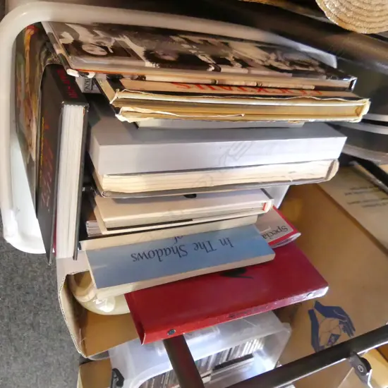 BOX ASST BOOKS;  MADONNA, MICHAEL JACKSON, IRIS APFEL ETC..