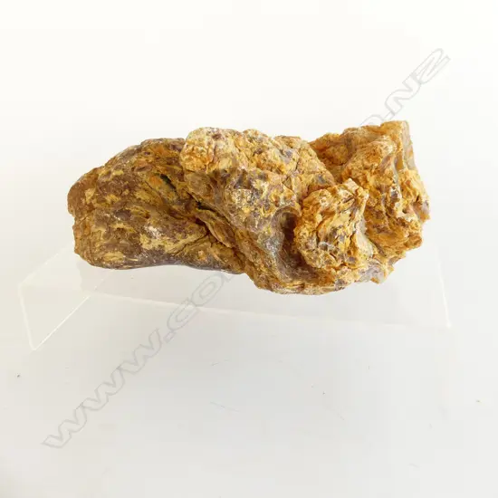 NZ KAURI GUM 740 GRAMS L. 210mm