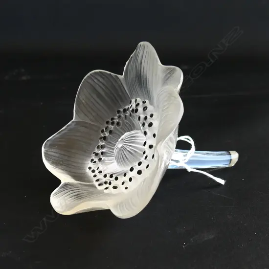 LALIQUE GLASS FROSTED  'ANEMONE', WITH BLACK STYME DETAIL & SIGNATURE TO STEM, 95 x 100mm 