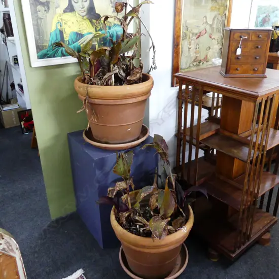 PR TERRACOTTA PLANTERS H.450mm / 500mm dia